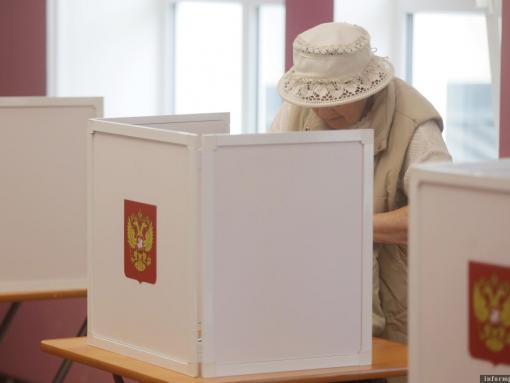 Стали известны предварительные итоги довыборов в Собрание депутатов Стругокрасненского муниципального округа по округу №3