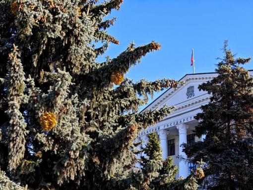 Необходимость примерки новых уличных новогодних украшений объяснили псковичам