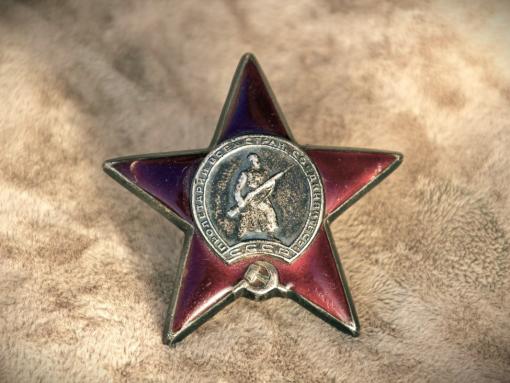 Найденный в Бежаницком районе орден Красной Звезды передадут потомкам солдата