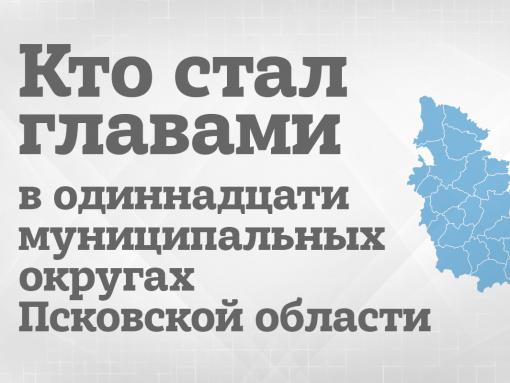 Новая глава: кого избрали в 11 округах Псковской области