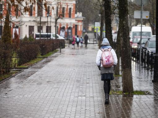 До +4 градусов ожидается в Псковской области 19 декабря