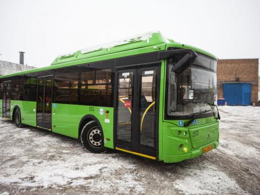 Новые автобусы выйдут на маршруты в Пскове в начале 2026 года