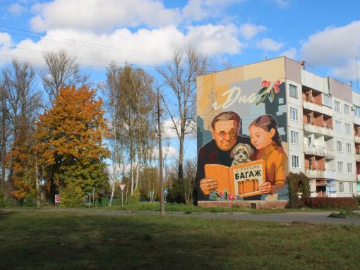Активисты ТОС из Дно номинированы на «Народное признание» за создание мурала