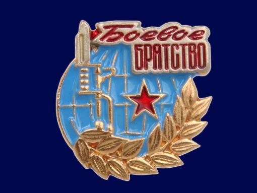 Боевое братство Псковской области может получить премию «Народное признание»