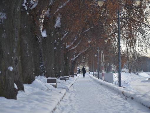 Псковский медик: Не надо бегать зимой без подготовки
