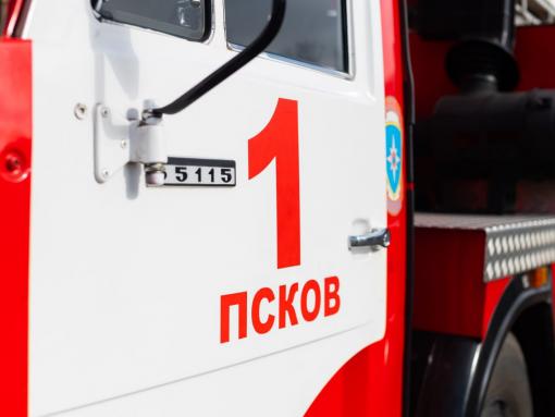 Число погибших при пожарах в Псковской области выросло на 90%