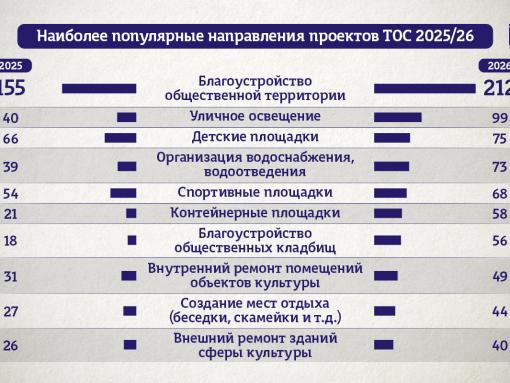 Стало известно наиболее популярное направление проектов ТОС в Псковской области