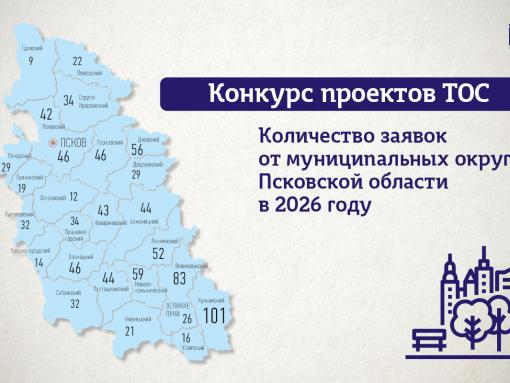 Почти тысячу заявок подали на конкурс проектов ТОС в Псковской области
