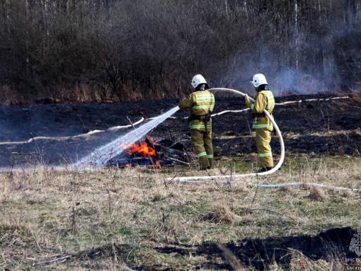 Пожароопасный сезон в Псковской области начнётся 1 апреля