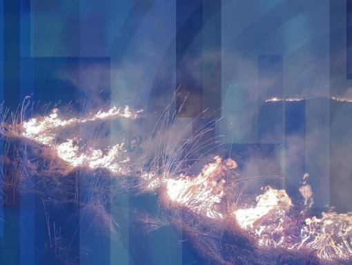 Огонь под запретом: начало пожароопасного сезона обсудят в медиацентре ПАИ