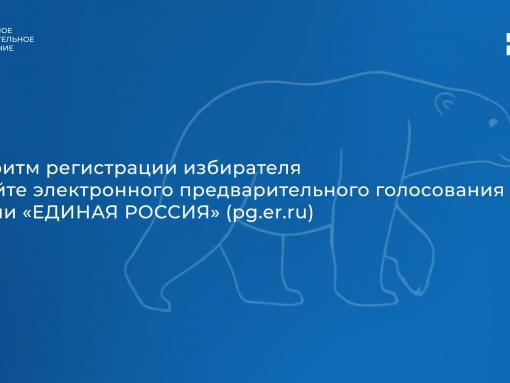 Опубликована видеоинструкция для регистрации на праймериз ЕР