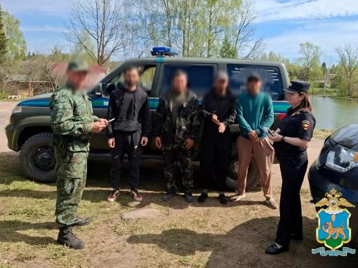Нелегальных мигрантов выявили в Псковской области
