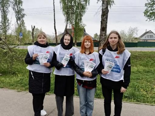 Более 800 волонтёров помогают псковичам проголосовать за объекты для благоустройства