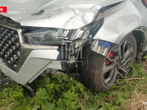 Водитель заснул за рулём и съехал в кювет в Бежаницком районе