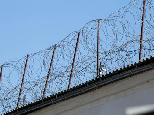 На семь лет отправится в тюрьму жительница Плюсского района за убийство сожителя