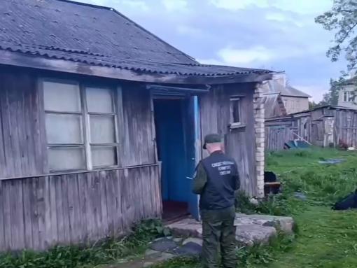 Житель Дедовичей подозревается в убийстве своего отца