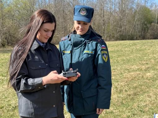 Более тысячи гектаров сельскохозяйственных земель в Опочецком районе заросло кустарником