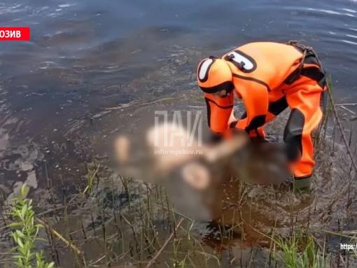 Тело мужчины обнаружено в реке Великой в Псковском районе