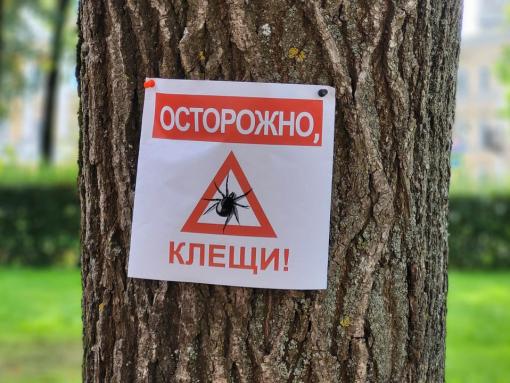 Клещи стали реже присасываться к псковичам