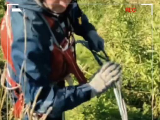 В пяти округах в Псковской области полностью восстановили электроснабжение после шторма
