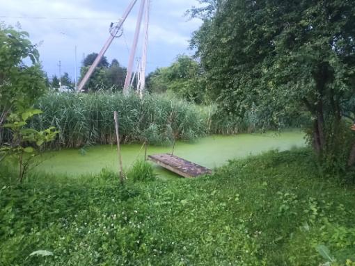 Полуторагодовалый малыш утонул в пруду в Бежаницах