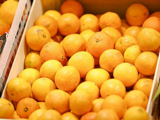 Основные продукты-аллергены перечислила пульмонолог