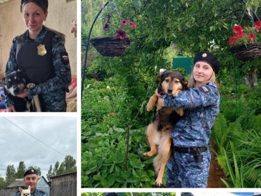 Псковские приставы поделились историями о четвероногих помощниках