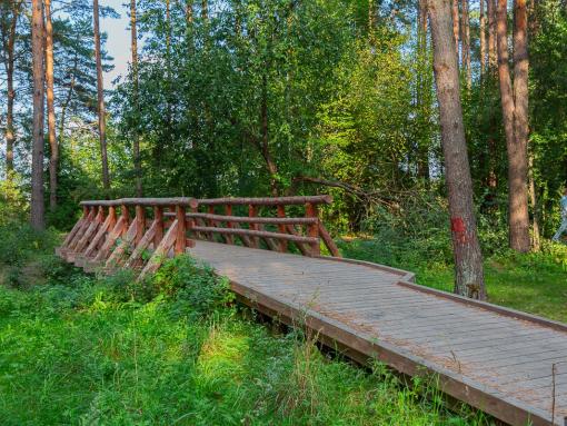 Дорожки, тренажёры и видеонаблюдение: Корытовский лесопарк в Пскове планируют благоустроить к концу лета