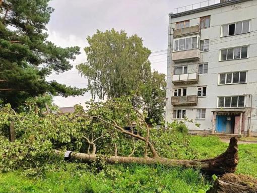 В районах Псковской области продолжают возвращать жителям свет после шторма