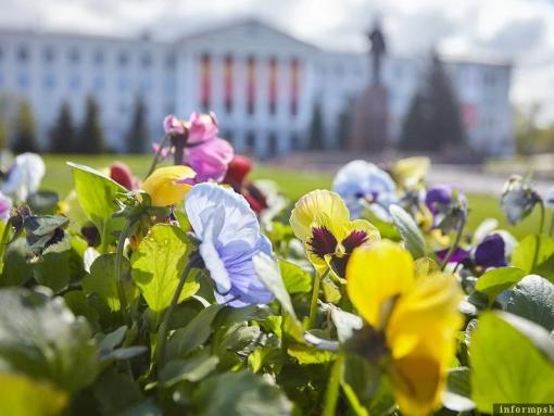 До +27 градусов прогнозируют сегодня в Псковской области