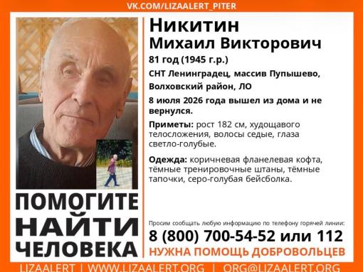 В Псковской области ищут пенсионера, пропавшего в Ленинградской области