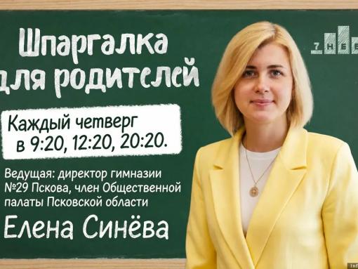 В чём польза наставничества обсудят эксперты в «Шпаргалке для родителей» Елены Синёвой