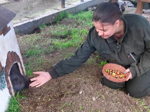 Псковичи объединились для помощи белкам и дикобразам