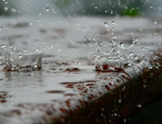 1 сентября псковские синоптики прогнозируют дожди (ЗВУК)